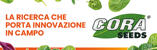 cora-seeds-flexi-sito-260914