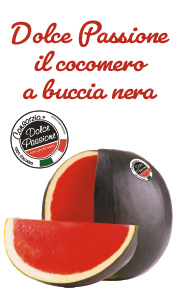 dolce-passione-smart-sito-260601