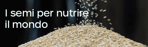 ENZA-ZADEN-FLEXI-SITO-251101