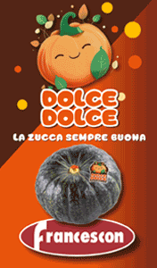 FRANCESCON-SMART-SITO-250929