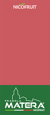 NICOFRUIT-FRAGOLA-MATERA-TOP-SITO-260201