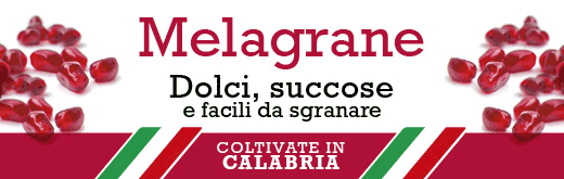 GALLO-FLEXI-SITO-melagrana-250923