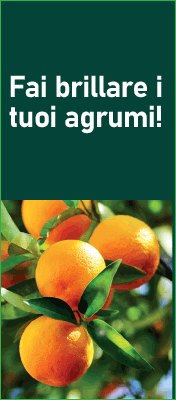 huber-CIFO-top-sito-alt-251001
