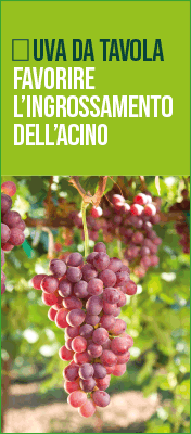 huber-CIFO-top-sito-alt-260401