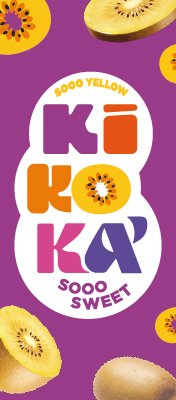 KIKOKA-TOP-SITO-251101