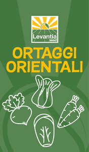 LEVANTIA-SEED-SMART-SITO-261003