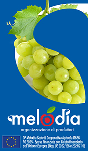armonia-melodia-smart-sito-250910-DEF