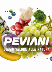 PEVIANI-SMALL-SITO-261001