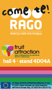 RAGO-smart-sito-250926