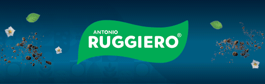 RUGGIERO-FLEXI-SITO-240401