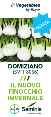 SEMINIS-MONSANTO-TOP-SITO-250922-domiziano