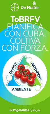 SEMINIS-MONSANTO-TOP-SITO-261016