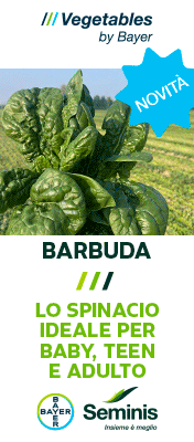 SEMINIS-MONSANTO-TOP-SITO-251119-spinacio