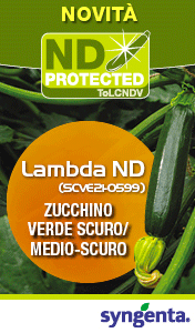 SYNGENTA-smart-sito-lambda-250901
