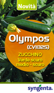 SYNGENTA-SMART-SITO-olympos-240517