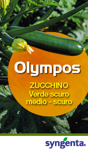SYNGENTA-smart-sito-260501