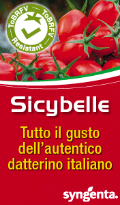 SYNGENTA-smart-sito-Sicybelle-260115