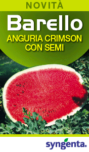 SYNGENTA-smart-sito-barello-251215