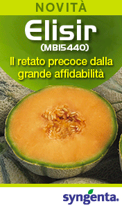 SYNGENTA-smart-sito-elisir-251201