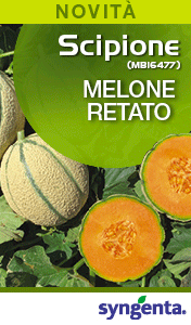 SYNGENTA-smart-sito-260601