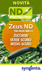 SYNGENTA-smart-sito-261001
