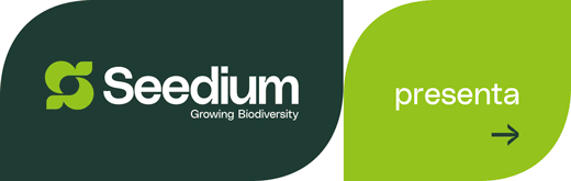 VERISEM-BLUMEN-FLEXI-SITO-260120