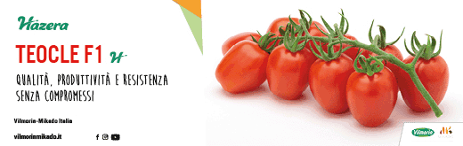 VILMORIN-FLEXI-SITO-250522