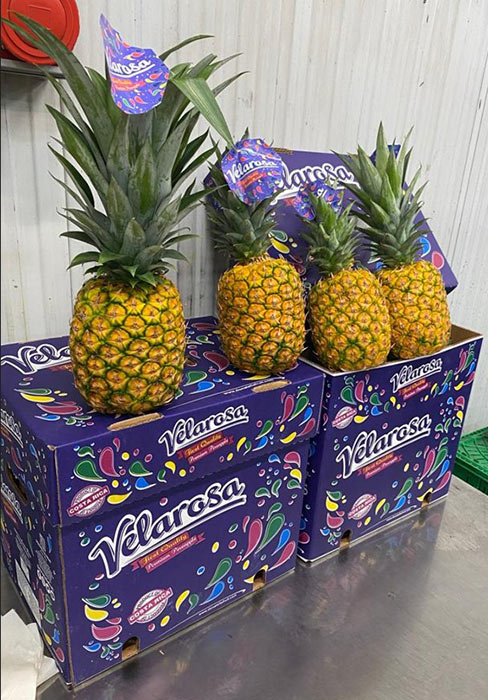 Motivo ananas di paillettes - Italia