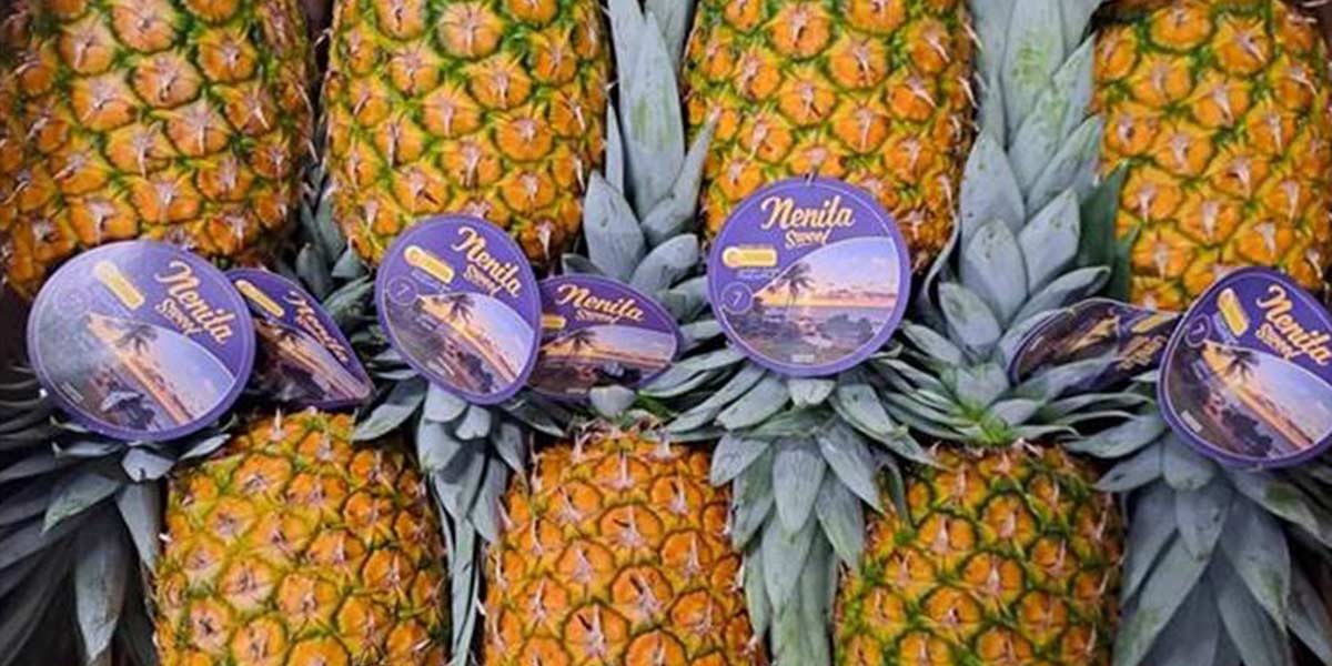 Ananas frutta con paillettes - Toppe termoadesive Patch Toppa ricamate