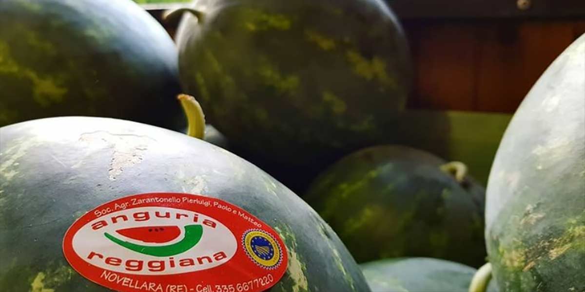 Anguria Rotta Guinness La stagione dell’anguria Reggiana Igp entra nel vivo con qualche ...