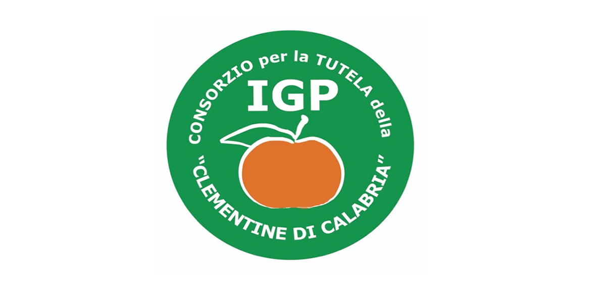 Clementine di Calabria IGP: più ricerca e sinergie per tutelare la ...