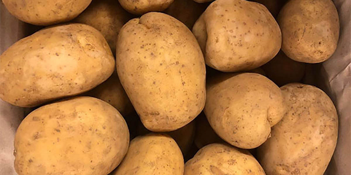 Ortofrutta e patate, in Emilia-Romagna 95 milioni di contributi