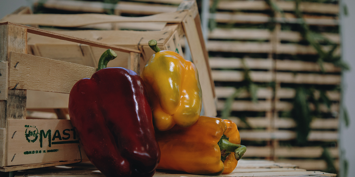 «Peperoni, ci aspettiamo buoni volumi» - Italiafruit News