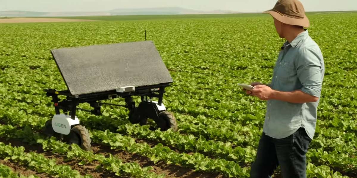 Aigen Element, dagli USA un aiuto concreto in campo - Italiafruit News