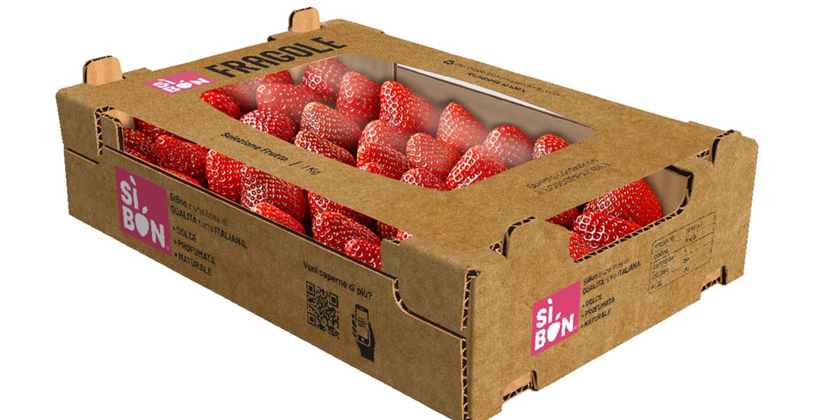 Ulma e Ghelfi Insieme per innovare il packaging: nasce il mini-collo ...