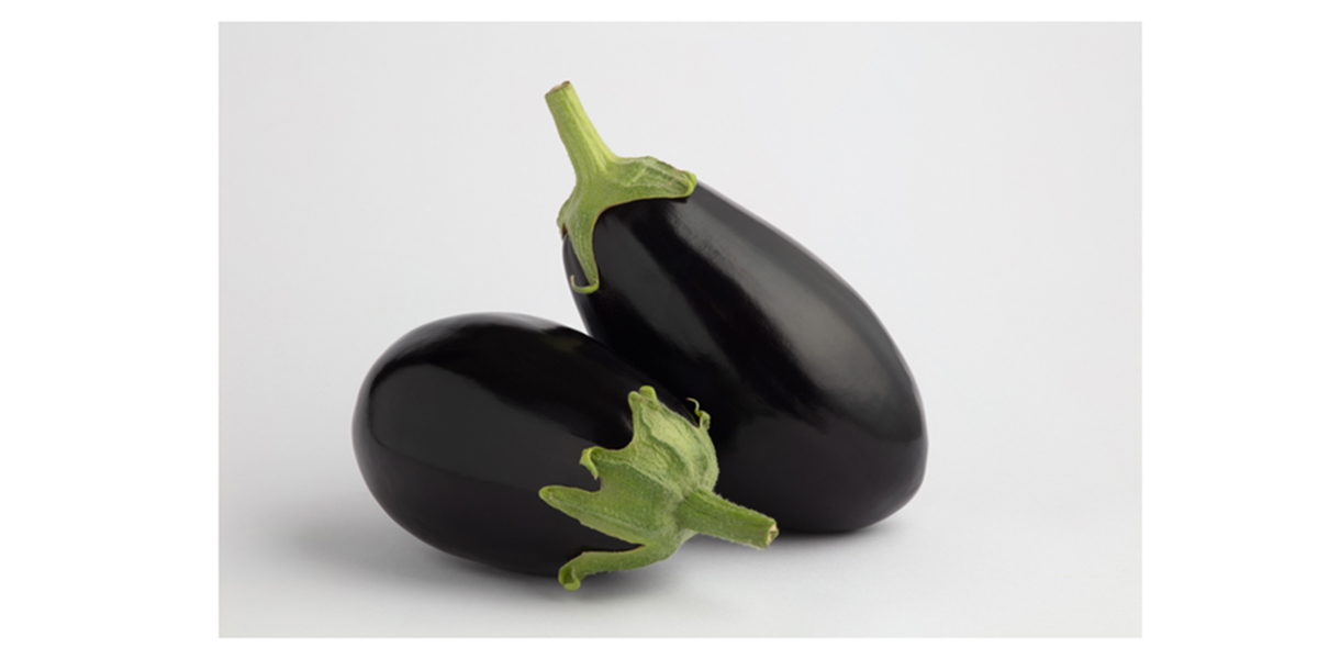 MELANZANA TONDA NERA SERENA F1 - La Fattoria Del Toce - Foto 10