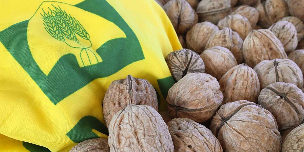 La frutta a guscio conquista la Granda