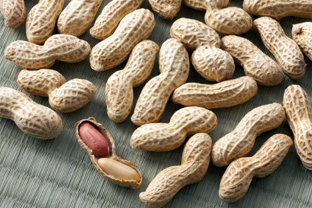 ARACHIDI 'MADE IN TUSCANY', UNA FILIERA DALLE GRANDI POTENZIALITA'