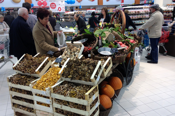 INAUGURATO IL NUOVO PANORAMA DI TREVISO CASTRETTE: QUALITÀ E CONVENIENZA A SOSTEGNO DEI CONSUMI DELLE FAMIGLIE