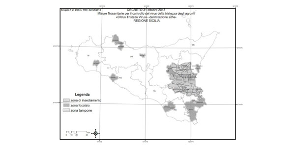 Tristezza degli agrumi, lotta obbligatoria in Sicilia