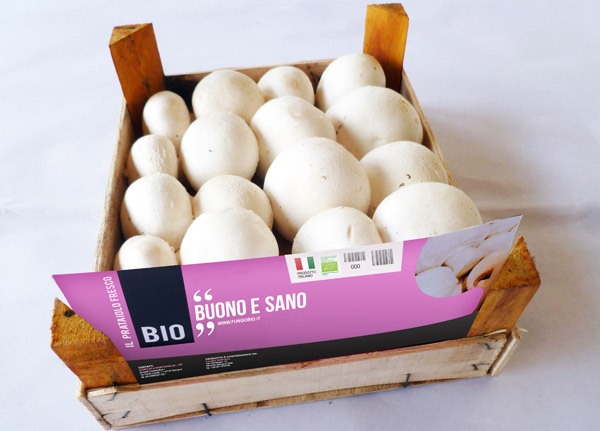 Fungo «Bio e Buono» di Hortoitalia