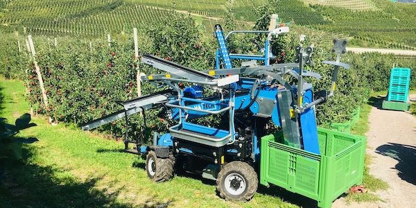 Un carro raccolta per la frutta di montagna