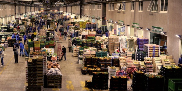 «Melanzane e peperoni, prezzi alti ma poche vendite»