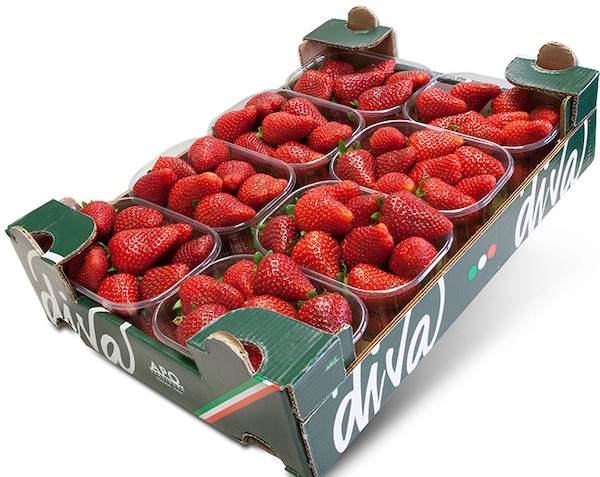 Apo Scaligera: fragola sì, meloni e ortaggi nì 