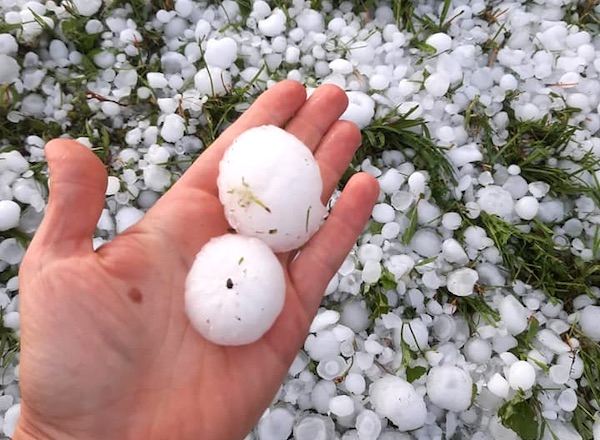 Grandinata record in Austria, distrutti 40mila ettari