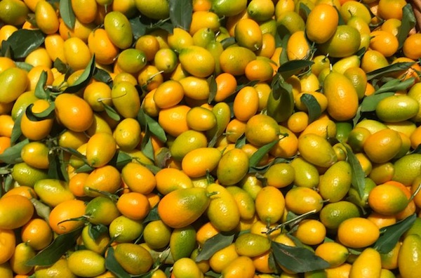 Buoni prezzi e più spazio in Gdo per il Kumquat italiano