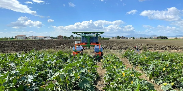 Macchinari elettrici per gli ortaggi bio