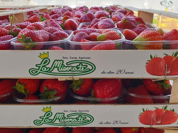 La Misenate: asparagi al top, fragole altalenanti