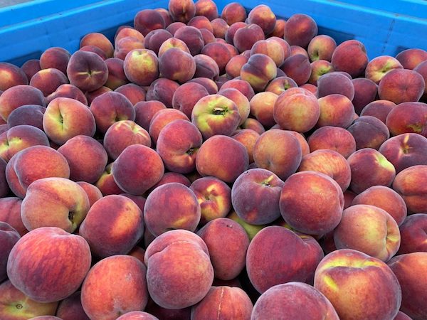 Frutta estiva bio, più luci che ombre