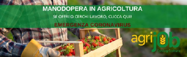 Manodopera agricola, 30mila richieste su AgriJob